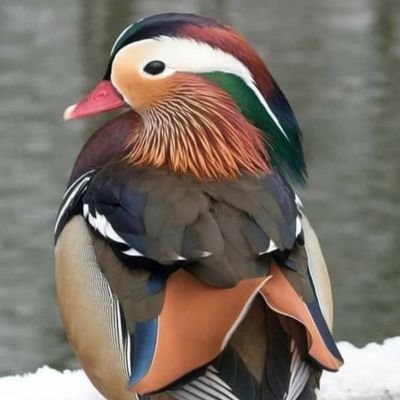 ZARGARPRINCE3's profile picture. ‏‏‏‏وہ جو گیت تم نے سنا نہیں میری عمر بھر کا ریاض تھا۔ میری درد کی تھی وہ داستان جسے تم ہسی میں اڑا گئے ۔۔۔۔۔زرگر پرنس احمد ۔۔۔
SCHOLAR at University Of Kashmir