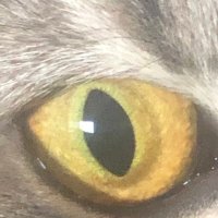 Azucenagarjo (@azucenagarjo) 's Twitter Profile