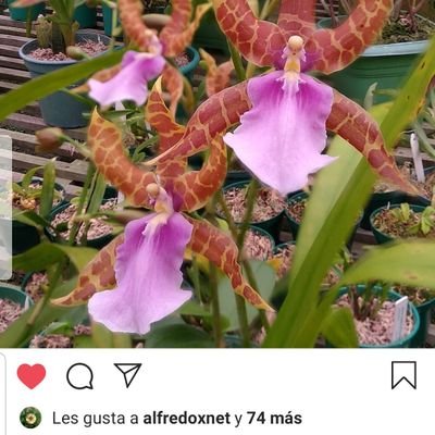 ArteSebastian1's profile picture. Amante de todo lo grande...naturaleza.