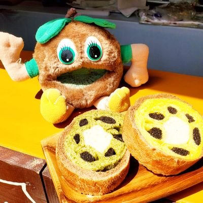 静岡県掛川市日本最大のキウイ観光農園「キウイフルーツカントリーJapan」で働くキウイ姉さん🥝です。