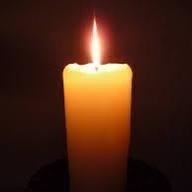 fieny225's profile picture. 