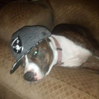 Virginia Raider (@cmoney4raiders) 's Twitter Profile Photo Virginia Raider (@cmoney4raiders) 's Twitter Profile Photo