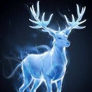 Maraud3rProngs's profile picture. 24M. Ambivert, Otaku and Amateur Gamer.