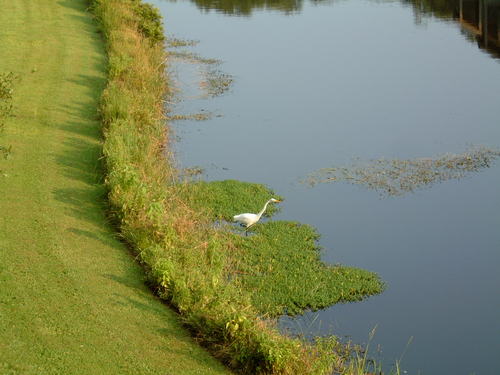 robgee123's profile picture. 