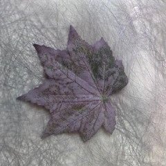Counselorさんのプロフィール画像