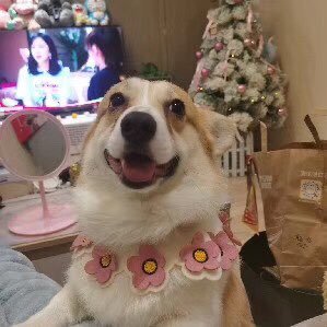 viansa13's profile picture. 快乐⬆️🧠 私信 全国🉑