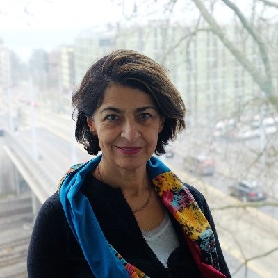 steinerkhamsi's profile picture. Comparative policy studies, globalization, development studies, public-private partnerships