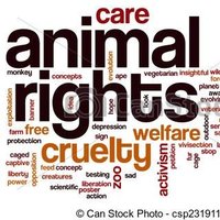 #AnimalrightsIⓋY (@animalrightsivy) 's Twitter Profile Photo #AnimalrightsIⓋY (@animalrightsivy) 's Twitter Profile Photo
