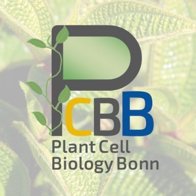 AG Vothknecht, Plant Cell Biology Lab, Institute of Cellular and Molecular Botany, University of Bonn