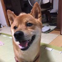 ♪ ♬ HIROMI♬ ♪さん専用です ♪ ♬ HIROMI♬ ♪さん専用です H I R O M I (@HIROMI66136439) / X
