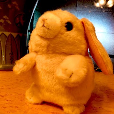 18_wmc_tail's profile picture. 早混18年度新入生担当でした。お役御免になったので隠居してます。全国散り散りになっても18が繋いでくれることを信じて。これからもよろしくね！