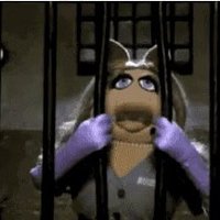 Margie Hartley (@moderatemadge) 's Twitter Profile