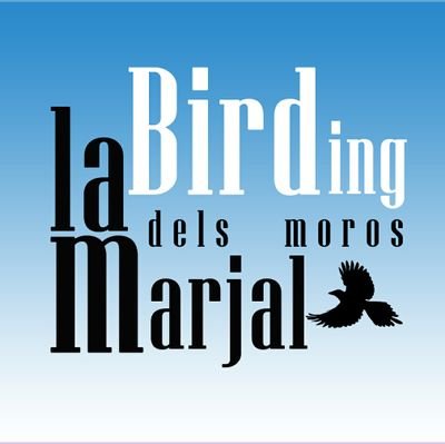 Una ventana a las aves de la Marjal dels Moros.