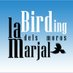 BirdingLaMarjal (@birdinglamarjal) Twitter profile photo BirdingLaMarjal (@birdinglamarjal) Twitter profile photo