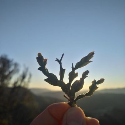 David_fdezz's profile picture. 