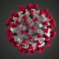 Coronavirus statistics uk (@ukstatistics) 's Twitter Profile