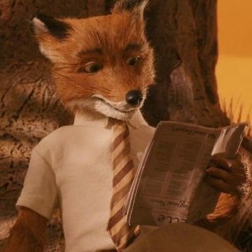 furious_taj's profile picture. Pseudo political commentator. Cinephile. Currently writing.

"A tree does not withdraw its cooling shade even from the one who has come to cut it" - BG