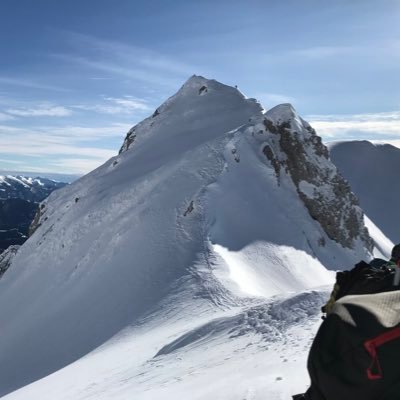 anvigaan's profile picture. Sono nato