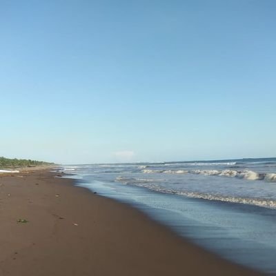 Scorpion502C's profile picture. orijinalidad propiA