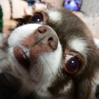 次世代プロジェクト所属の自由気ままな平日アングラーです。気軽にフォローお待ちしています★【毎日さかな感謝生活】さん&【夫者嫁者】さんを応援しています!