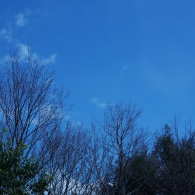 あおさんのプロフィール画像
