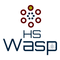 HelloSky Wasp Profile