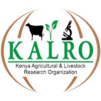 KALRO (@kalromkulima) 's Twitter Profile Photo KALRO (@kalromkulima) 's Twitter Profile Photo
