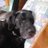 mimpi_vergo's profile image