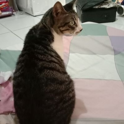 seonsaengniimm's profile picture. 