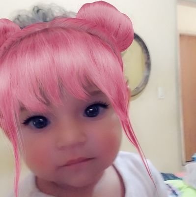 pestana_reis's profile picture. 