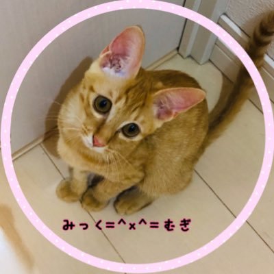 mikku39ptolemy's profile picture. 大好きだからね雄輝くん💕愛猫むぎちゃん😽18/10/20山陽学祭 11/17あやめ祭 19/2/10ｲﾁｺｲ8/3.4.31.9/1神の子10/27くすのき祭11/9東女学祭12/18大阪ﾌｧﾝｲﾍﾞ20/9/6大阪ﾘｽﾀ21/12/18ｼｪﾗﾄﾝ ﾍｯﾀﾞｰsaikoちゃん♡#古川雄輝