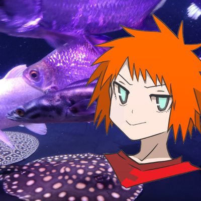 こねさんのプロフィール画像