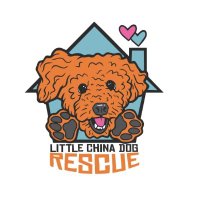 Little China Dog Rescue(@ChinaRescue) 's Twitter Profile Photo