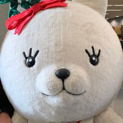 kokudaichaken21's profile picture. 國學院大學 茶道研究會（裏千家） ┈┈2025年入学者向け新歓アカウント🌱┈┈ #春から國學院 #裏千家 #学校茶道 #裏千家青年部第5支部┈┈┈┈┈DM開放中📥📨