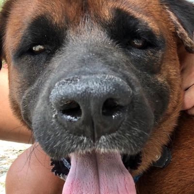 cicci101's profile picture. 