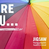 Jigsaw Limerick (@jigsawlimerick) 's Twitter Profile