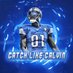 Lions Daily (@CatchLikeCalvin) Twitter profile photo
