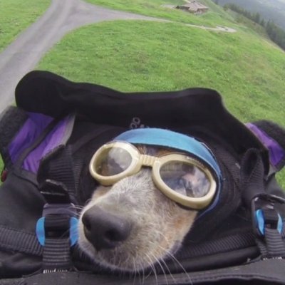 conjuntivirus's profile picture. correndo de todo mundo de tudo que é canto
estou ficando calvo