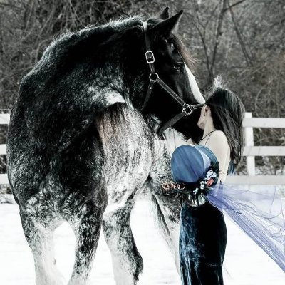 offthemapfarm's profile picture. Interesting – sometimes humorous – things that are overheard by the refrigerator and stove.