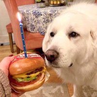 Matthew Something (@wantoreos) 's Twitter Profile