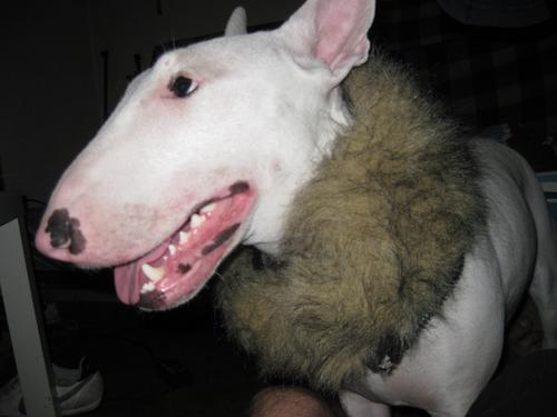 Paker216's profile picture. 