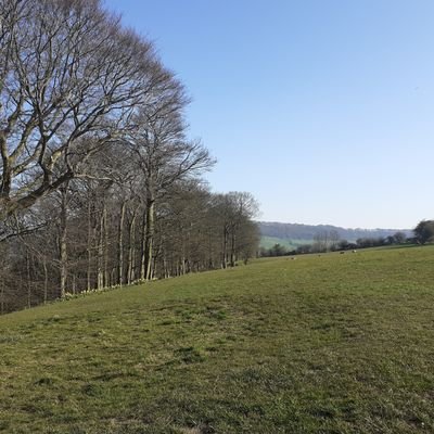 stevieh1986's profile picture. 