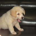 Lynn - @lynn_ho - Twitter