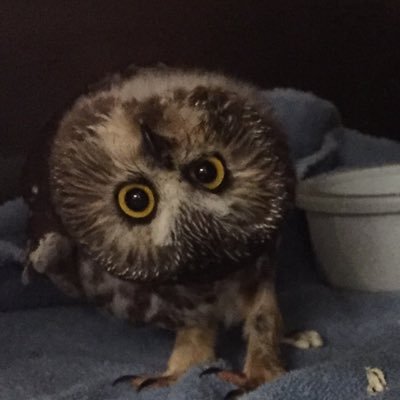 thenamesA____'s profile picture. 