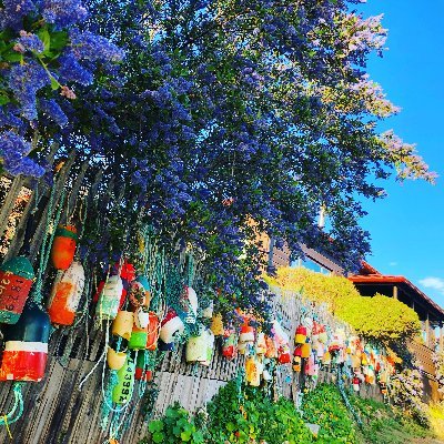 PtReyesHostel's profile picture. The Point Reyes Hostel is part of Hostelling International, a non-profit organization. We provide low cost accommodations in the Point Reyes National Seashore.