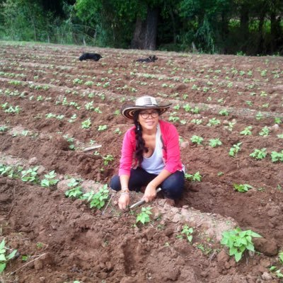 Ñuu Savi💛 Landrace seed sower at rancho El Chupandío🌱mixteca baja, Oax | BIPOC & small farm centered at @CDFAnews #sinmaíznohayraíz #quiensiembratucomida