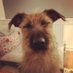 Mairi (@mairi46494319) Twitter profile photo