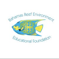 BREEF (@breef242) 's Twitter Profile