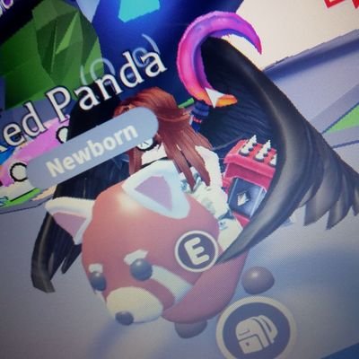Robloxp13355520's profile picture. .(hi).
robloxxxx