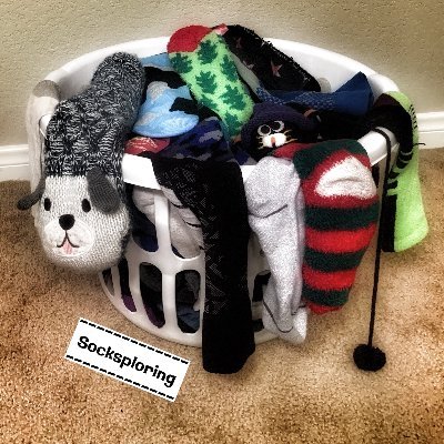 socksploring's profile picture. 🤩Welcome to Elementary P.E. Class! The youtube videos were made for students during Covid closures. Connect more on here JB.LivePostive & IG jb.livepositively